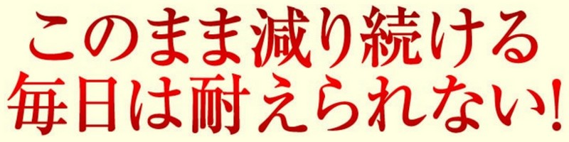 �{�X�g�������p�n���P�A�T�v�������g���T�C�g